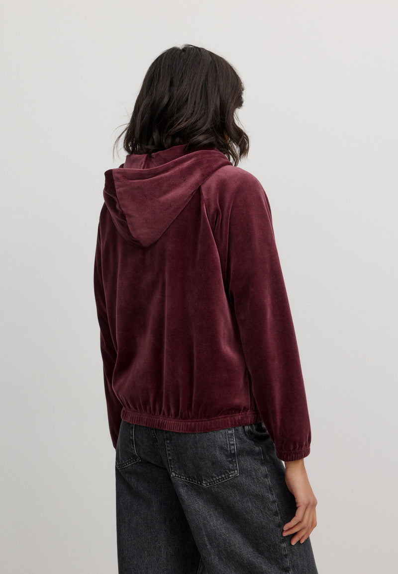 Sweat zippé à capuche HELICONIA - Velours prune