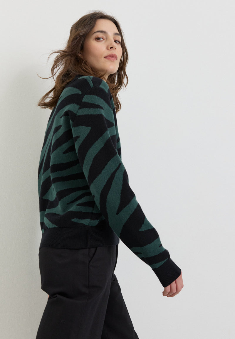 Pull PISTIA ZEBRA - Vert