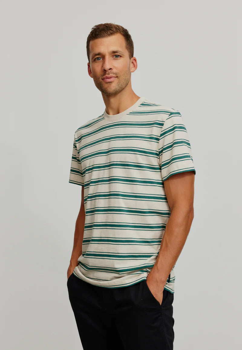 T-Shirt CASSAVA ligné - vert