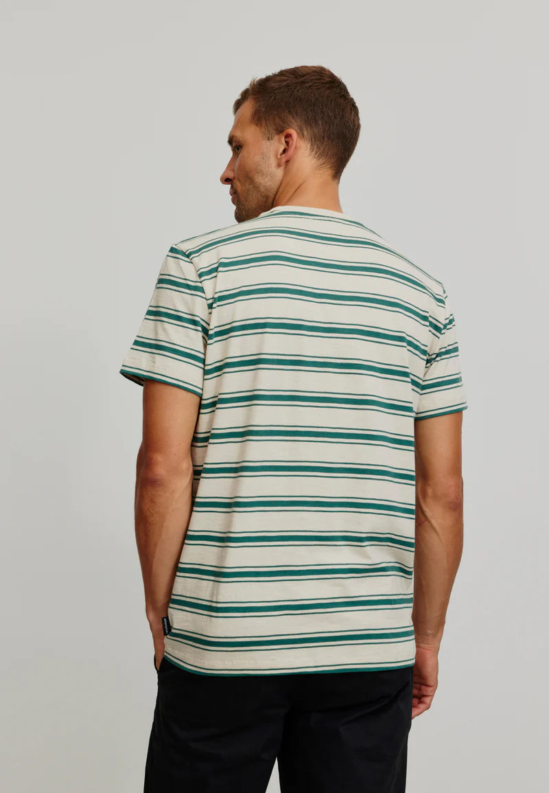 T-Shirt CASSAVA ligné - vert