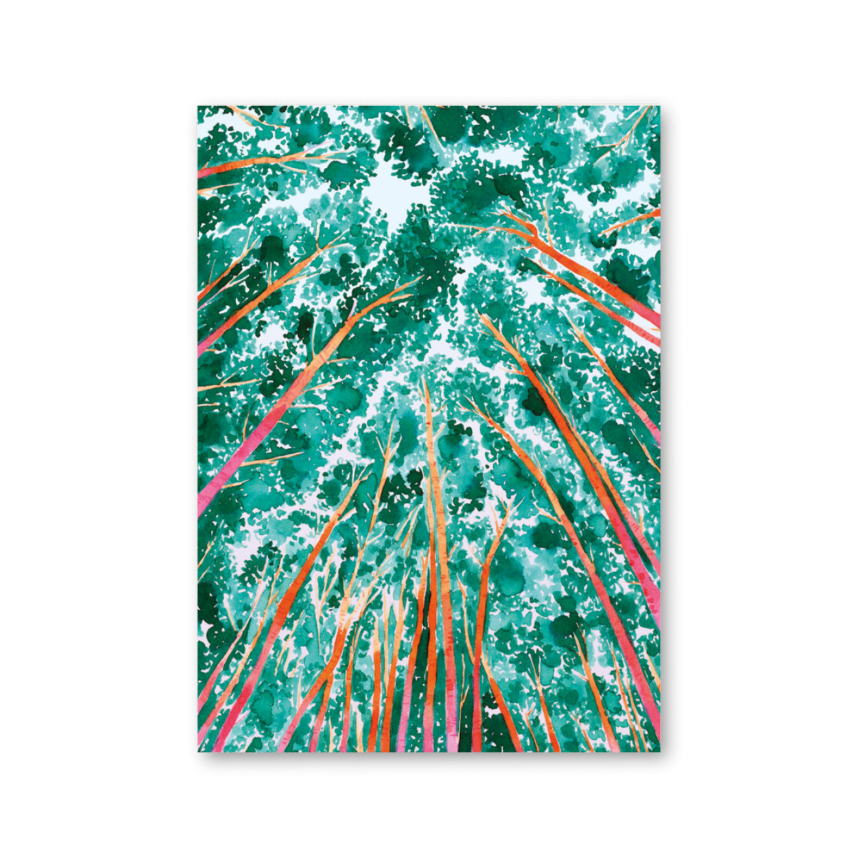 Carnet A6 Canopée