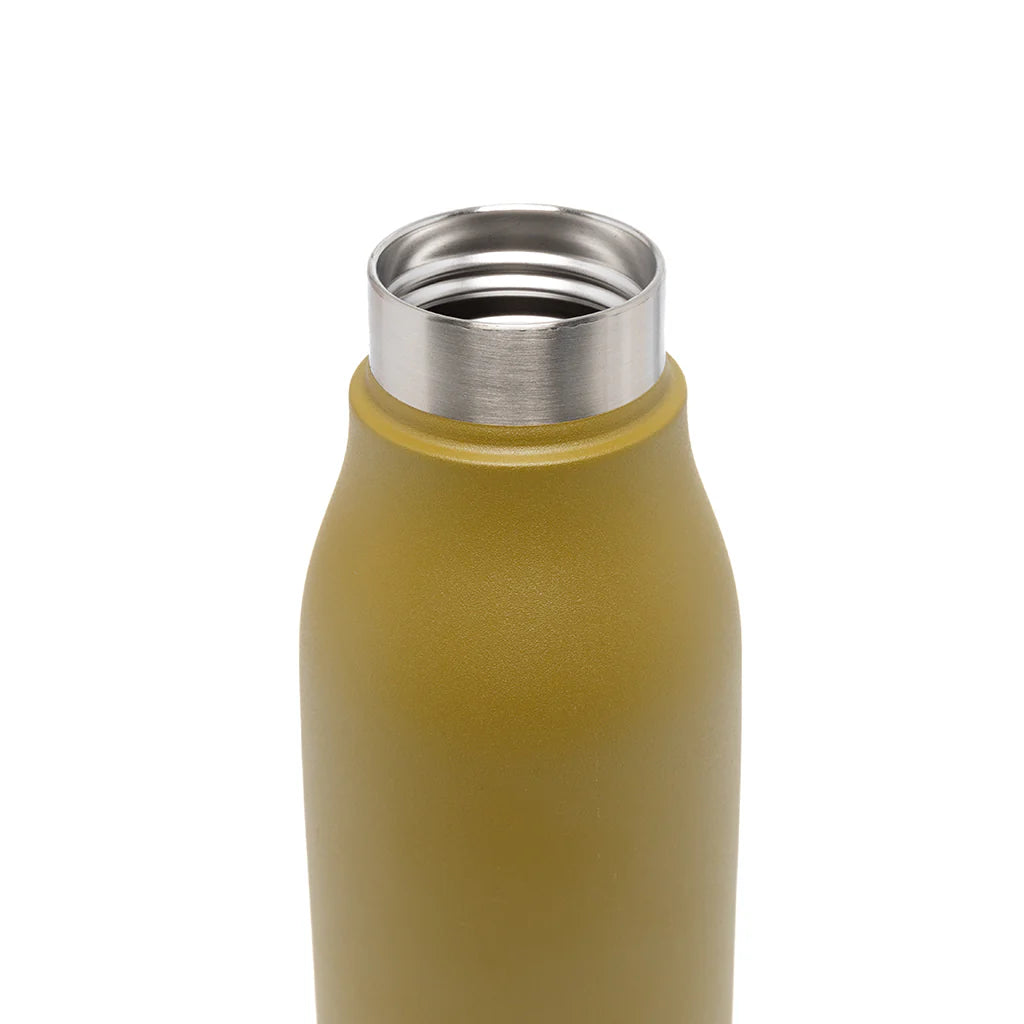 Gourde Green Moss