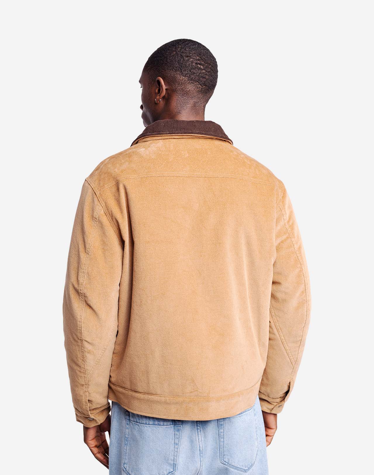 Veste HARCOURT beige