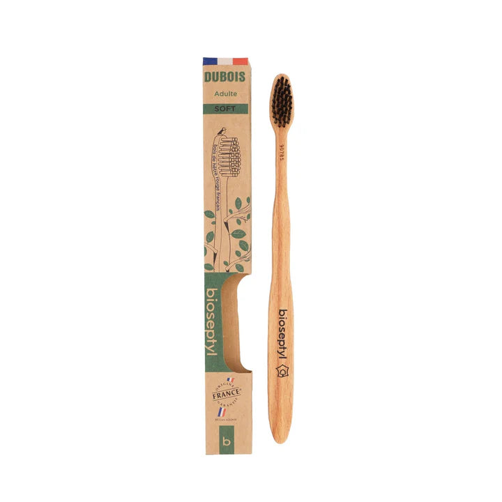 Brosse à dent en bois de Hêtre / Adulte