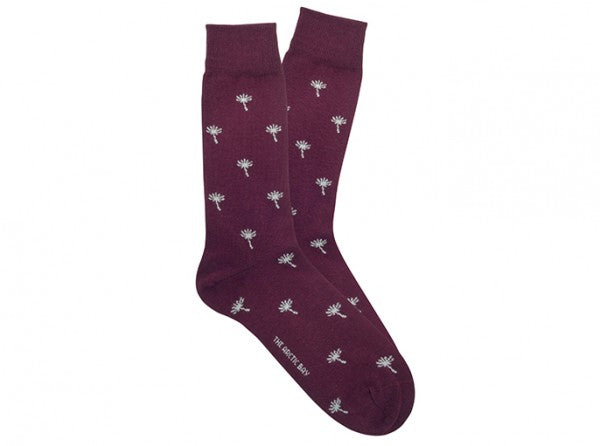 Chaussettes Dandelion Bordeaux
