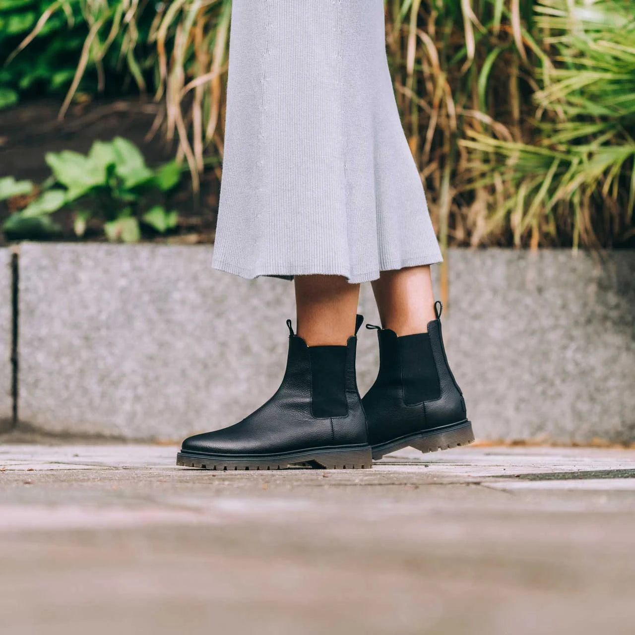 Osier black