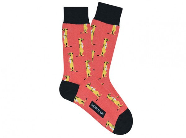 Chaussettes Meerkat Coral