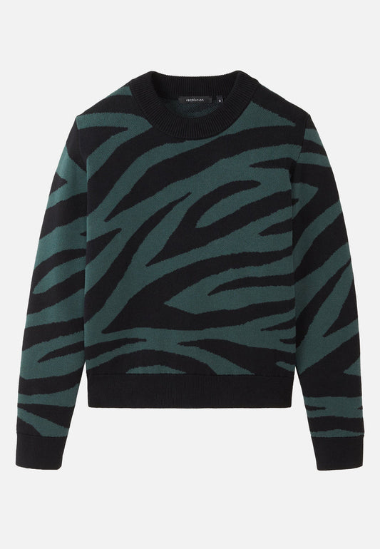 Pull PISTIA ZEBRA - Vert