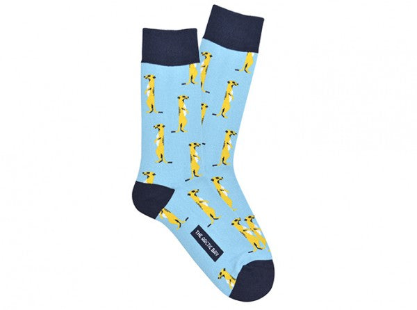 Chaussettes  Meerkat - Bleu