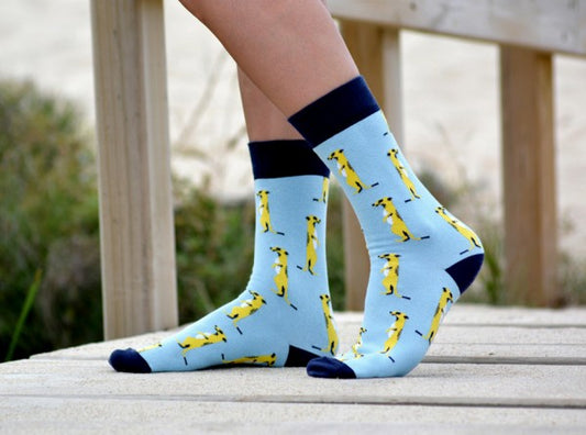 Chaussettes  Meerkat - Bleu