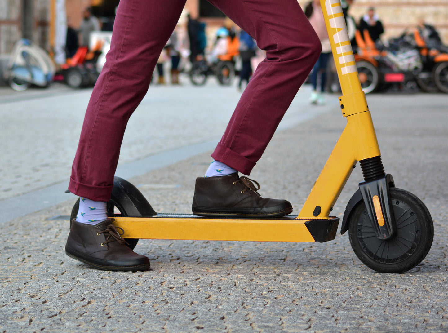 Chaussettes Colibri - Violet
